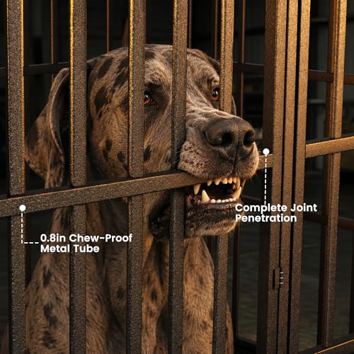 60 Inch Heavy Duty Dog Crate (Black / XX-Large)