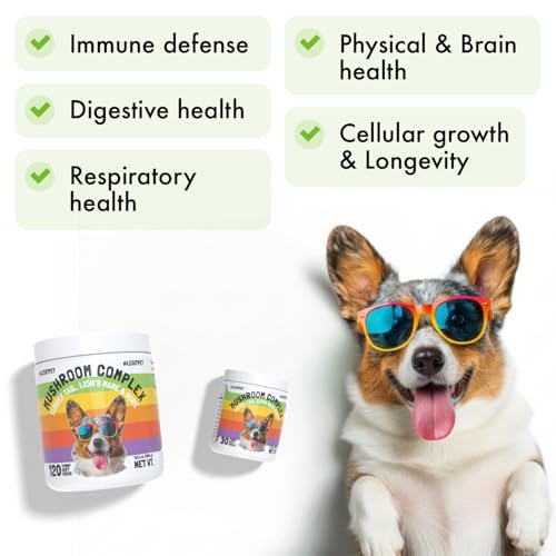 Mushroom Complex Treats for Dogs with Reishi (Mushroom / 30)