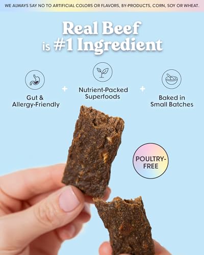Beef Jerky Dog Training Treats (16 Ounce (Pack of 1))