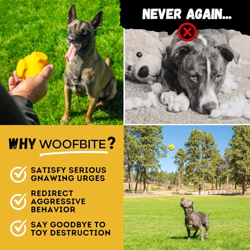 Indestructible Jumping Jack Chew Toy