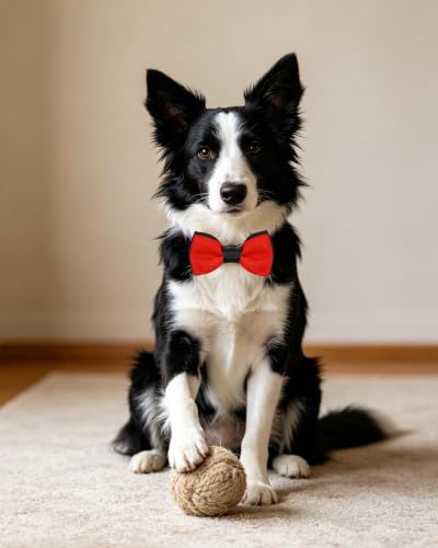 5 Pack Mixed Color Dog Bowties for Large Dogs Slide on Collar (M/L)