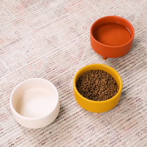 Uplift Elevated Ceramic Dog Bowl (Small / Buttercream)