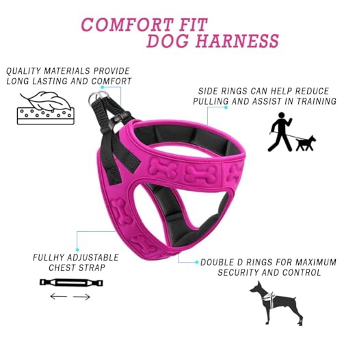 Comfort fit Step (L (Chest 18.5"-21") / Pink)
