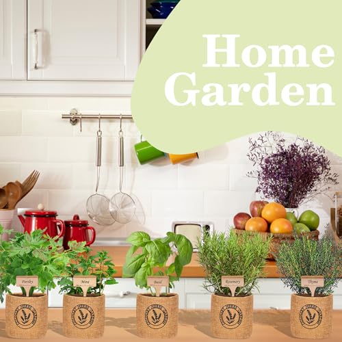 Herb Indoor Garden Kit (Basil, Parsley, Mint, Thyme, Rosemary)