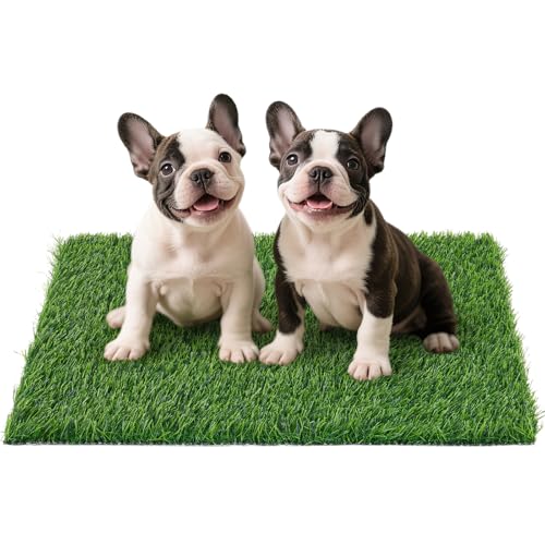 Replacement Artificial Grass Pee Pads for Dogs Potty Training to Pee & Poop (L-33.2"X20.8")
