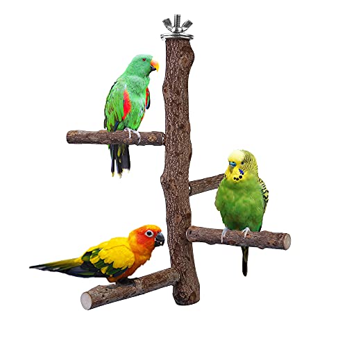 Bird Perch Stand Toy Natural Wood Bird Cage Branch Perch 10 Inch (10 Inch Perch)