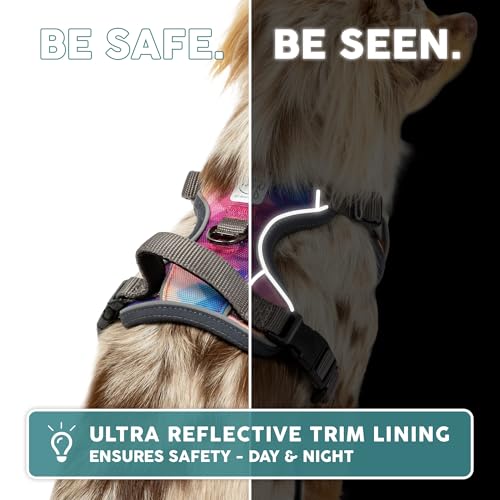 Embark No Pull Dog Harness (XS / Santa Monica)