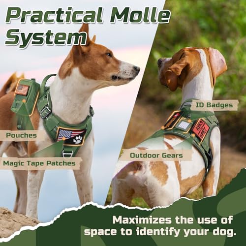 Tactical Dog Harness for Large (Green / Large)