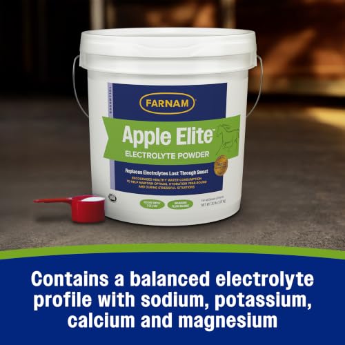 Apple Elite Horse Electrolytes Powder Supplement (20 pounds)
