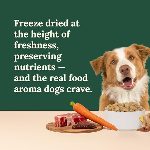 Freeze Dried Raw Dog Food (3 Pound (Pack of 1))