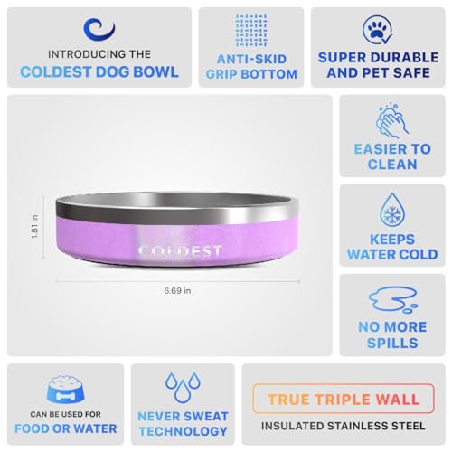 Coldest Dog Bowl (21 oz / Saturns Purple Glitter)