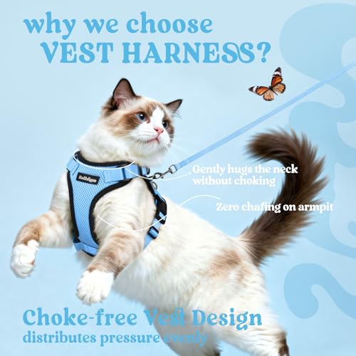 Cat Harness and Leash Set (M / Light Blue)
