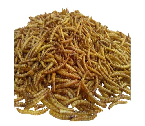 Mealworms Freeze Dried Mealworms for Tropical Fish (10 Ounce (Pack of 1))