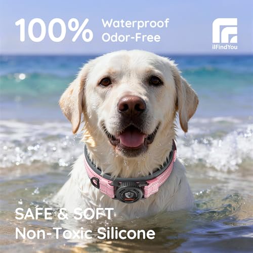 Heavy Duty Dog Collar with AirTag Holder (Pink / S (12.5-15in Neck))