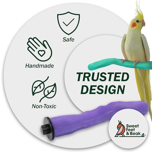 Safety Pumice Bird Perch (Purple / Large 12")