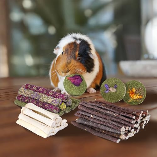 50 60 Pcs Rabbit Chew Toys