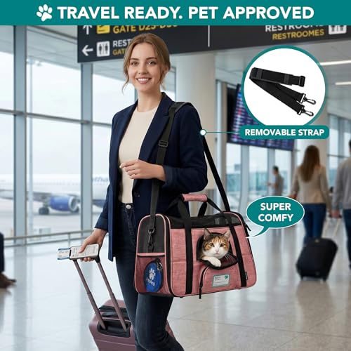 Airline Approved Pet Carrier Cat Small Dogs (Light Red / 19.5"L x 10.2"W x 12.0"H)