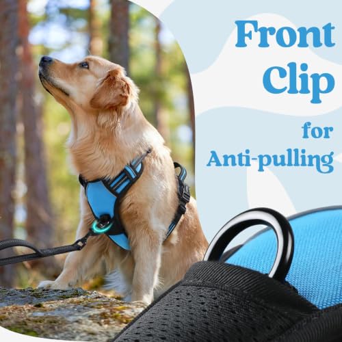 Dog Harness for Large (X-large / Sky Blue)