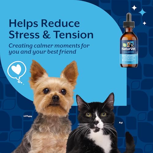 Quiet Moments Calming Drops for Cats & Dogs (2 Ounce)
