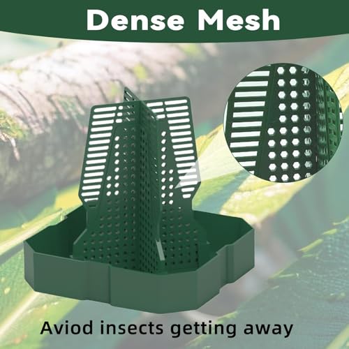 Chameleon Feeder Bearded Dragon Feeder for Mounted Insect（Large） (Large)