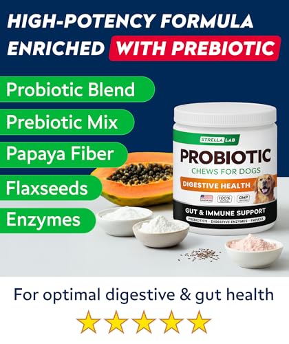 Dog Probiotics Chews for Digestive Health & Gut Support with Yeast and Enzymes (Probiotic Chews / 180Ct (Bacon))