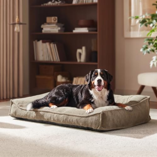 XXL Orthopedic Dog Beds Large Sized Dog (Brown / 45"L x 32"W x 9.5"Th)
