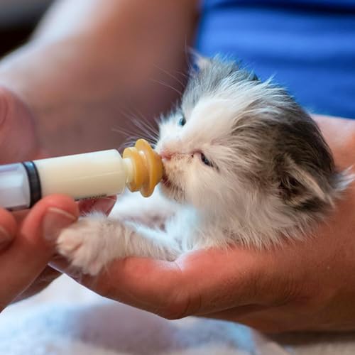 Pet Feeding Bottle Set (3 Nipples+5 Syringes + 1 measuring cup)