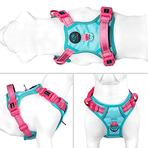 No Pull Dog Harness (Mint Green Base & Pink Straps / Extra Small)