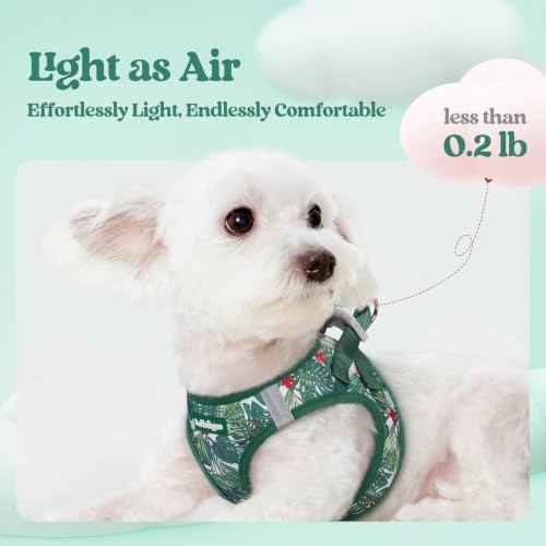 Dog Harness Small Sized and Leash Set (Rainforest Green / Xs (chest: 13.3 - 15.5"))