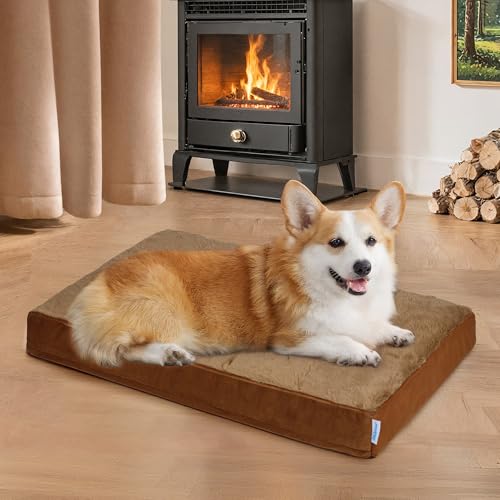 Waterproof Dog Bed for Medium Dog (Khaki / 30"L x 20"W x 3"H)