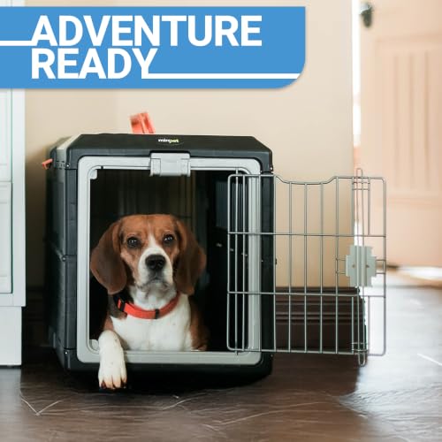 USA Pet Carrier & Crate (Medium - Orange handle / without kit)