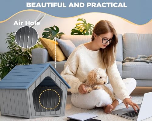Outdoor Dog House (Blue / 23.43*22.64*22.8)