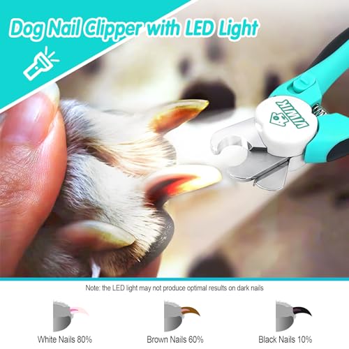 2 in 1 Dog Nail Trimmers with LED Light for Bloodline (Dark Blue)