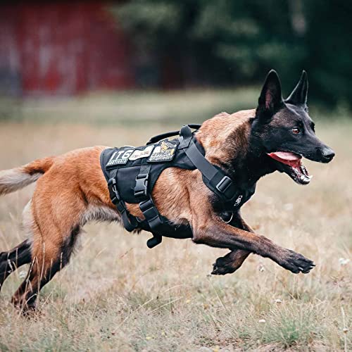 No Pull Tactical Dog Harness for Medium Dog (Black / M)