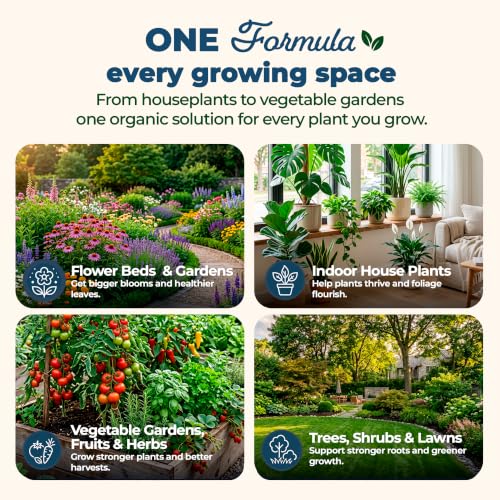 Fertilizer & Plant Food for House Plants & Garden 1 (One 1/2 lb Bag)