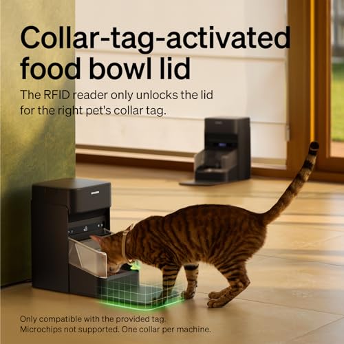 RFID Automatic Cat Feeders for 3 Cats (Black / 3L*3 Packs)
