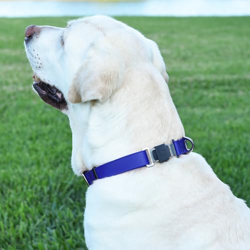 Biothane Waterproof Dog Collar with Herm Sprenger Black Stainless Steel Quick Release Buckle (W 3/4" x L 12"-19" / Blueberry Royal)
