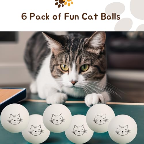 Ping Pong Balls for Cats