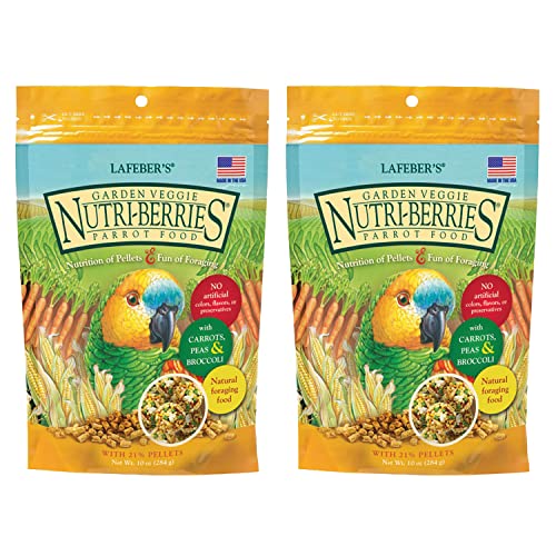 Garden Veggie Nutri (10 Ounce (Pack of 2))