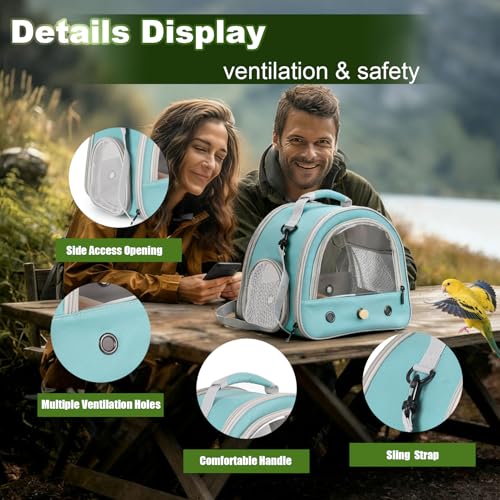 Portable Parrot Travel Cage Carrier with Small Swing Toy&Cage Colorful Toys Set Small Bird Parakeet Bag with Standing Perch Bird Carry Transport Bag (Green / 12.0"L x 7.0"W x 12.0"H)