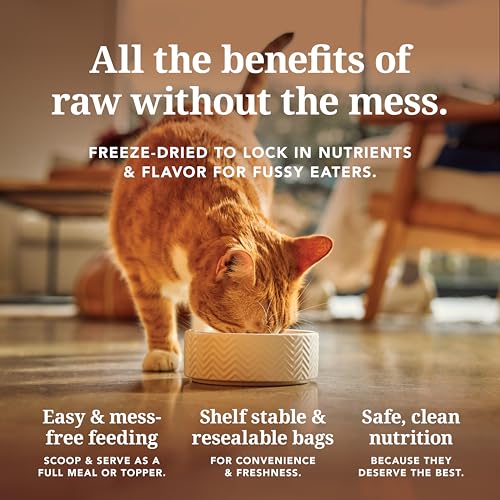 Freeze Dried Cat Supplements for Digestive Support