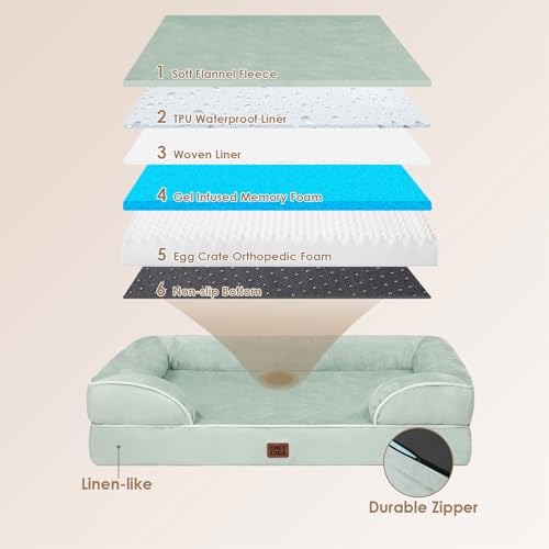 Orthopedic Large Dog Bed (Soft Sage Green / 35.0"l X 22.0"w X 6.5"th)