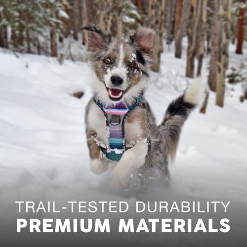 Embark No Pull Dog Harness (XL / Baja)