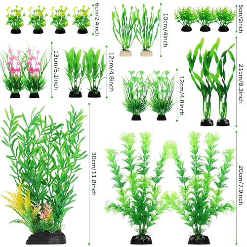 Fish Tank Plants