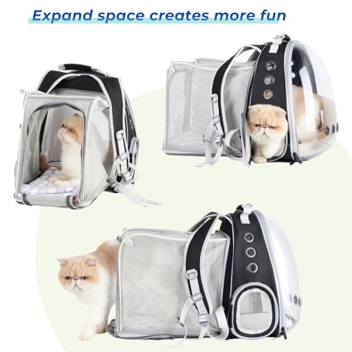 Expandable Bubble Cat Carrier Backpack (Square Back Expandable-Black)