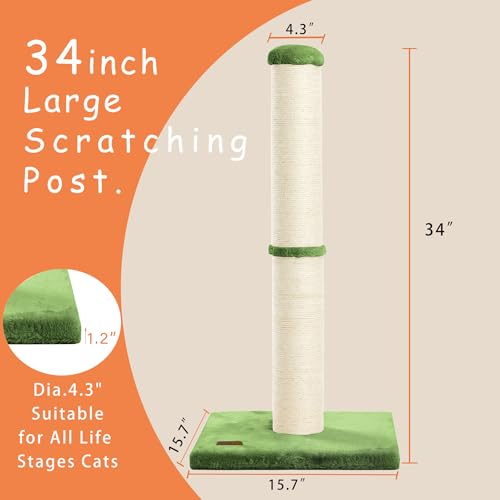 34" Tall Cat Scratching Post with Sisal Rope for Indoor Cats Green (Green)