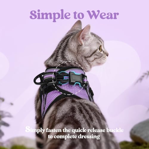 Cat Harness and Leash Set (XL / Light Purple)