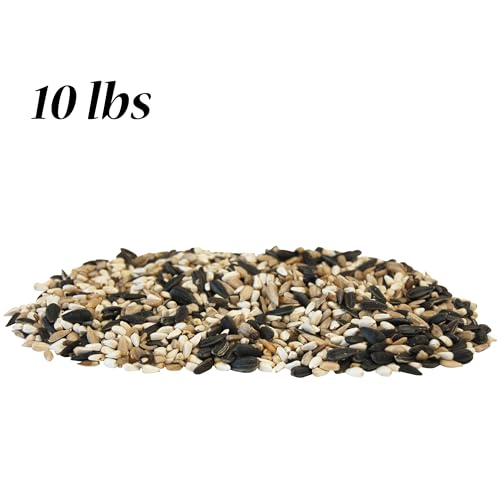 Wild Bird Seed Mix
