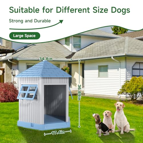 Large Outdoor Dog House (Blue / 34.8*30.51*36.89)