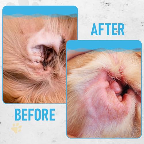 Dog Ear Wipes for Dog Yeast Wax Itch and Odor